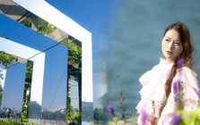Tọa độ ngắm mùa thu Hà Nội đẹp như thơ, loạt khung gương lấp lánh khiến dân tình xuýt xoa “đẹp hơn tưởng tượng”