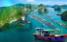 Việt Nam có làng chài lâu hơn kim tự tháp Ai Cập hơn 2.000 năm: Đào lên được 88 đầu cá biển, giờ vẫn 300 hộ sống trên mặt nước