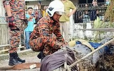 Cần thủ vô tình móc trúng "quái thú" dài hơn 4,5m, nặng trên 1 tấn: Kéo lên mới phát hiện điều bất thường