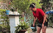 Vườn sầu riêng 10.000m2 của nhà Ánh Viên