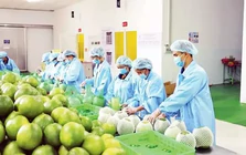 Nông sản 'chạy nước rút' hướng đến mốc 18 tỷ USD cuối năm