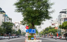 Nút thắt phố Ô Chợ Dừa thay đổi ra sao sau khi mở rộng?