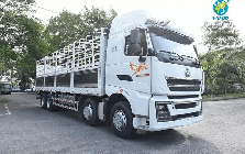 Khoản phải trả 7.100 tỷ đồng cho đối tác Trung Quốc và cách 'đại gia' bán xe tải 'Hổ vồ' thu tiền trước, trả tiền sau