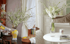 Mẹo giữ hoa tuyết mai tươi ròng rã 2 tuần: Sai lầm "kinh điển" khi thay nước khiến hoa héo rũ mà 90% chị em đang làm mỗi ngày