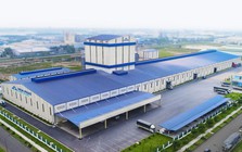 Nông nghiệp Hòa Phát và Hạ tầng Gelex chính thức lên sàn HoSE cùng một ngày