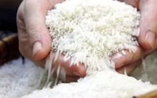 Gạo Thái Lan tăng giá mạnh, Việt Nam giữ đà ổn định