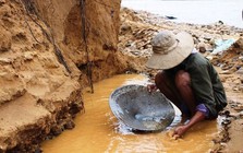 Phát hiện hàng loạt người bỏ công bỏ việc, đổ xô đi đào vàng mong đổi đời sau 1 đêm: Có người từng đào được 72kg