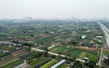 Dự án khu công nghệ cao sinh học hơn 1 tỷ đô được giao đất