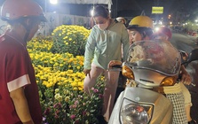 Hoa Tết giá rẻ 50.000 - 100.000 đồng/chậu cháy hàng