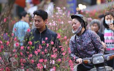 Thời tiết Tết Nguyên đán diễn biến bất ngờ: Miền Bắc có đợt rét tăng cường ngay đầu năm mới, nhiệt độ giảm mạnh ở nhiều nơi