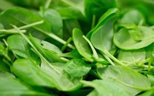 Đi chợ Tết mua rau, thận trọng với 3 loại này, người bán chưa chắc đã dám ăn