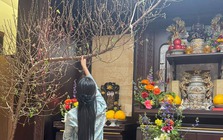 Nỗi khổ của người chơi đào huyền