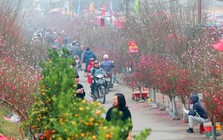 Miền Bắc sẽ đón đợt không khí lạnh mới vào đúng đêm Giao thừa