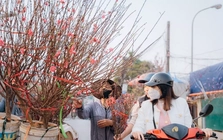 Miền Bắc nắng ấm trước khi chuyển mưa rét