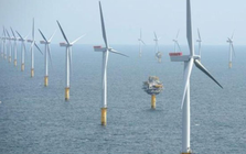 Rà soát 167 dự án năng lượng tái tạo hưởng giá FIT, Bộ Công Thương yêu cầu xử lý vướng mắc