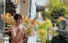 Chẳng cần đào mai tiền triệu, chị em rủ nhau cắm thứ "nhà quê" này: Đẹp sang chảnh, bày ban Thần Tài hút lộc, để 3 năm vẫn như mới!