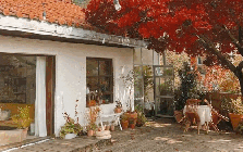 Bỏ phố về quê cải tạo nhà 30 năm tuổi: Mẹ hai con biến căn nhà cũ thành biệt thự nghỉ dưỡng, ai nhìn cũng muốn chuyển đến ở