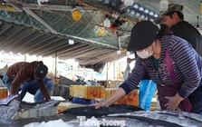 27 Tết: Cá thu giá 'chát' vẫn bán vèo vèo