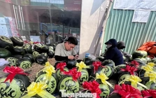 Dịch vụ 'hái ra tiền' ngày Tết: Khắc dưa, mạ vàng dừa kiếm tiền triệu mỗi ngày