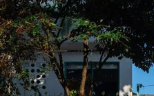 Gia chủ thư thái trong ngôi nhà màu xanh dịu mát