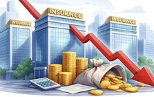 Bức tranh lợi nhuận của các doanh nghiệp ngành bảo hiểm trong năm 2025