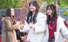 Tin không khí lạnh mới nhất và dự báo thời điểm miền Bắc chuyển mưa rét