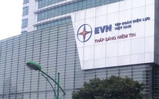 Cổ phần hoá, cơ cấu lại vốn nhà nước của loạt "ông lớn" EVN, Petrolimex, Viettel, Agribank...