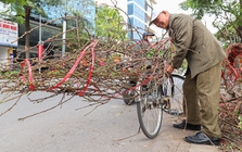 Dự báo thời tiết 29 Tết: Miền Bắc nắng đến 28°C trước khi đón không khí lạnh