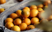 Loại cây "may mắn" ngày Tết của người Việt hóa ra quả cũng là vị thuốc bổ nhuận phổi, tiêu đờm, tốt cho tiêu hóa