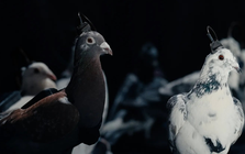 Tất cả đều xôn xao bàn luận công nghệ mới của Nga: Kẻ tin người ngờ nhưng phải công nhận là "giỏi nhưng sợ"