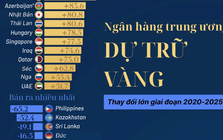 Không phải Nga hay Mỹ, đây mới là quốc gia tăng dự trữ vàng nhiều nhất trong 5 năm qua - gần 360 tấn mới nhập kho