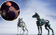 AI tạo ra động vật ảo biết nhìn khiến giới khoa học kinh ngạc