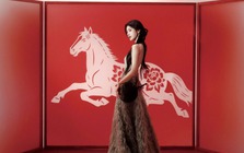 Mỹ nhân “sộp” nhất Tết 2026 đây rồi: Lì xì 750 triệu đồng cho fan, nhìn cát-xê hiểu ngay vấn đề