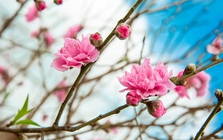 Tại sao tháng 1 gọi là tháng Giêng?