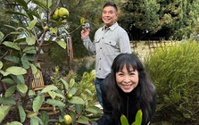 Nữ NSND tuổi ngựa cưới tài tử điện ảnh lừng lẫy, sở hữu biệt thự hoành tráng giữa trung tâm TP. Hồ Chí Minh