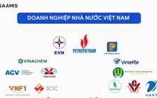 Nhiều doanh nghiệp nhà nước vào diện cơ cấu lại vốn