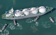 Sau một năm, nền kinh tế hơn 20 nghìn tỷ USD vẫn chưa nối lại nhập khẩu mặt hàng chủ chốt của Mỹ, 2 'ông trùm' khác nhảy vào chiếm phần