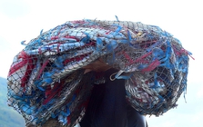 Sản vật biển của Việt Nam tạo "cơn sốt" tại Mỹ, đơn hàng áp đảo thị trường