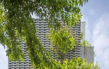 Thiết kế nhà ống với hệ vỏ nhiệt đới