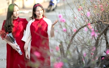 Thời tiết cả nước dịp Tết Nguyên đán Bính Ngọ 2026 thế nào?