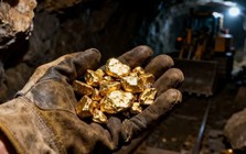 Dân "ôm" vàng lỗ 20 triệu/lượng, cổ đông công ty khai thác vàng lớn nhất Việt Nam lãi gấp 2,3 lần nhờ báo lợi nhuận kỷ lục gần 2.000 tỷ