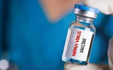 Virus tử thần có tỷ lệ tử vong tới 75% sắp có “lá chắn”: Nhật Bản thử nghiệm vaccine Nipah, cả châu Á nâng cảnh giác