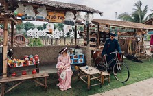 Trà Sư mùa xuân – bản hòa ca xanh của miền Tây