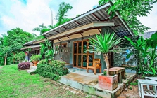 Ngày tôi quyết định bán căn nhà ở phố về quê sống, hàng xóm chê cười, Tết năm nay họ lại ngại ngùng nhìn tôi khâm phục