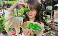 Từ chê “trồng rau là phong trào” đến nghiện thu hoạch: Lần đầu tôi hiểu vì sao người thành phố mê làm nông tại nhà