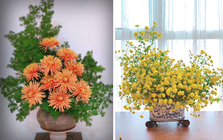 Ngắm những bình hoa cúc cổ đẹp nao lòng của mẹ đảm Hà Nội