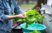 4 cách rửa rau tưởng sạch mà hóa “rửa càng kỹ càng bẩn”: Nhiều người đang làm mỗi ngày