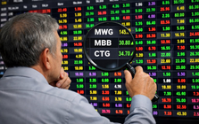 Soi top danh mục các "cá mập" nghìn tỷ: MWG cùng 2 cổ phiếu ngân hàng chiếm sóng