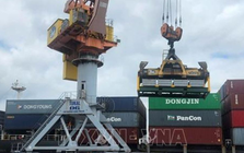 Xuất nhập khẩu qua Hải Phòng đạt 5,45 tỷ USD dịp Tết Bính Ngọ