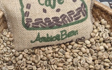 Giá cà phê hôm nay 23-2: Dự báo từ Tổ chức Cà phê quốc tế